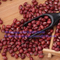 Health Food New Crop Azuki Bean